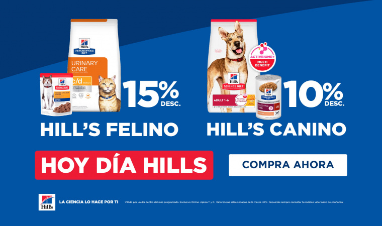 Día Hill´s